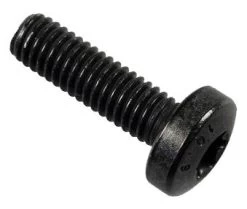 Bosch EBike Drive Unit Screw M6x20, T30 - Classic