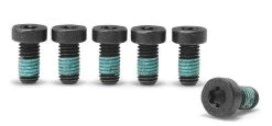 Bosch Screw Set M8x16 Drive Unit Performance Line Gen. 4 - PU 6 Pieces
