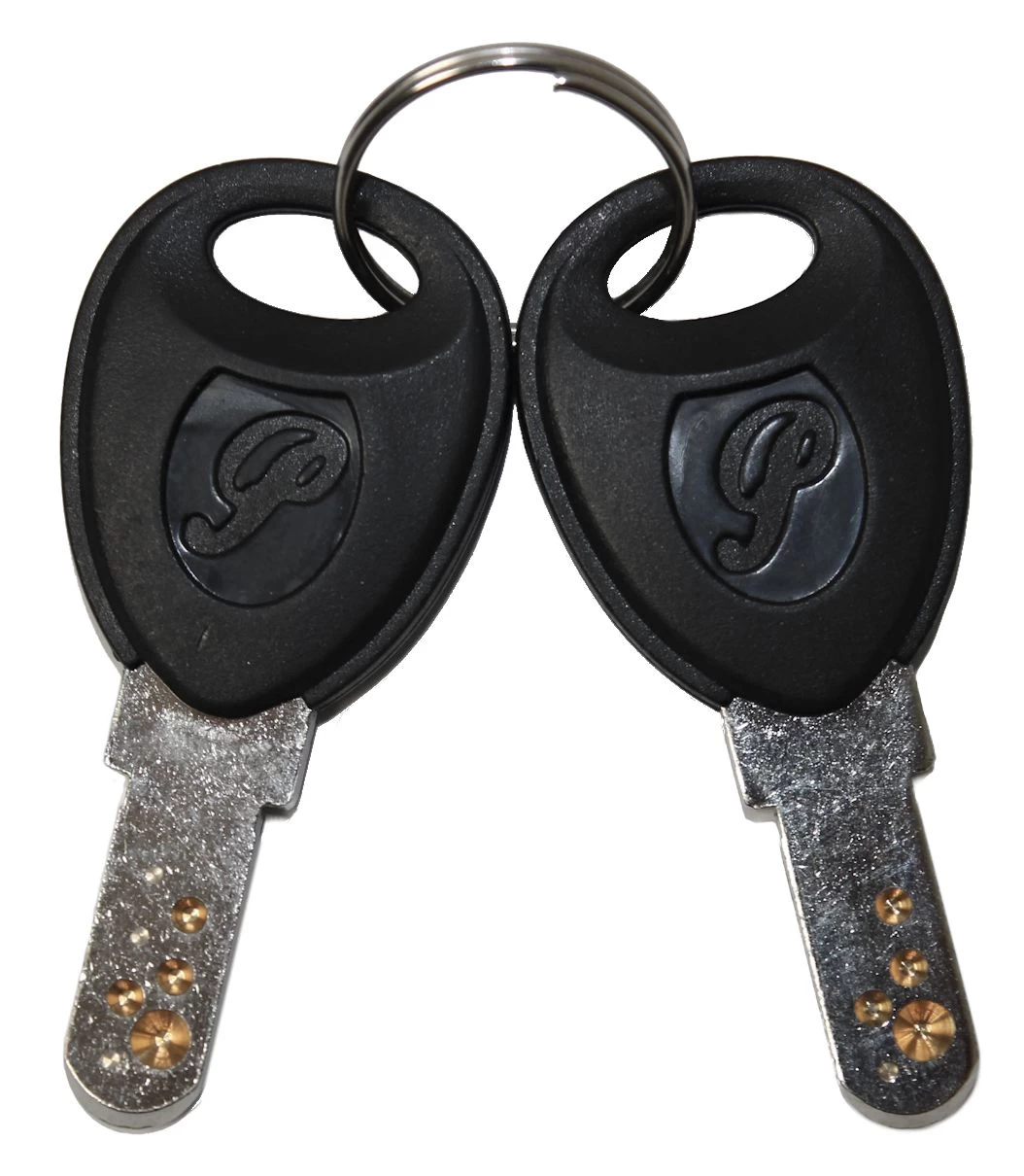 Flyer / Panasonic E-bike Replacement Key From 2007 - 1 Pair 3 Flyer / Panasonic E-bike Replacement Key From 2007 - 1 Pair