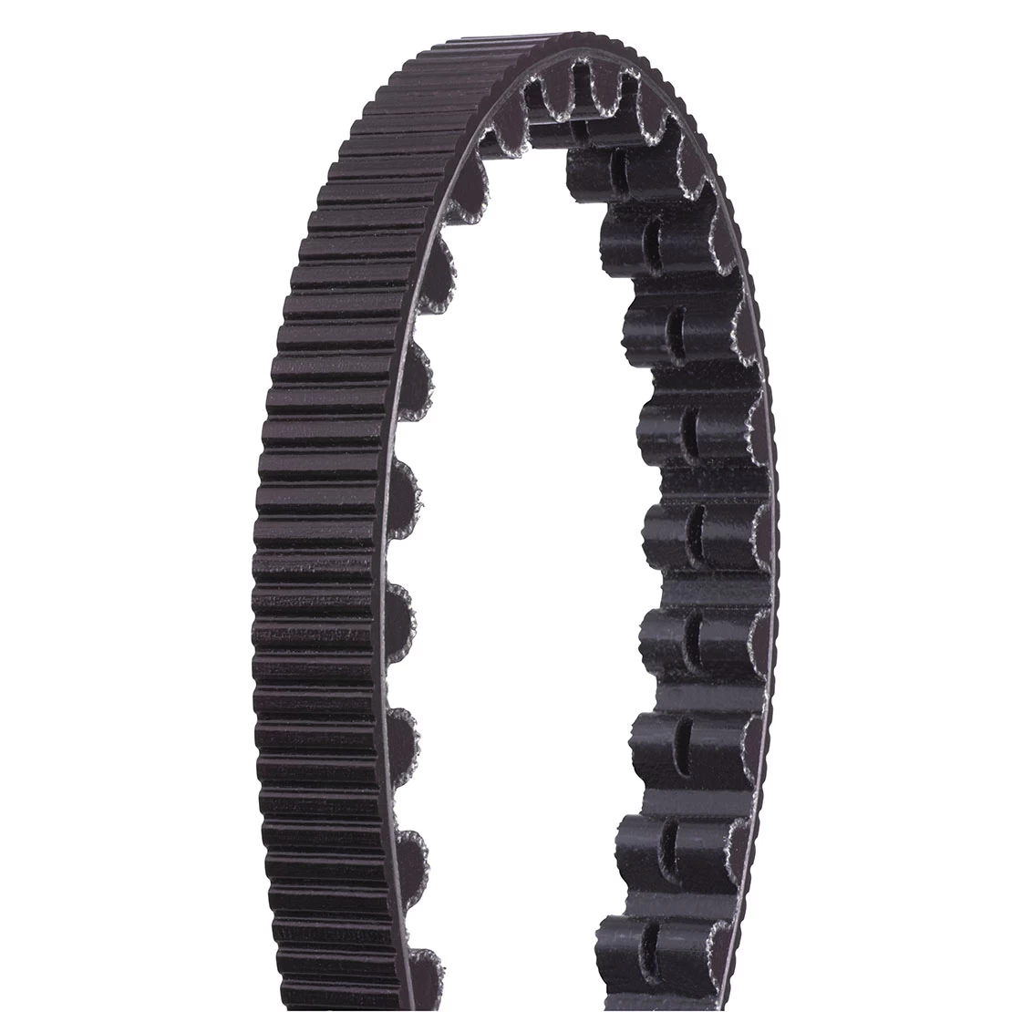 Gates Carbon Drive Belt CDX 4 Gates Carbon Drive Belt CDX – Bild 2
