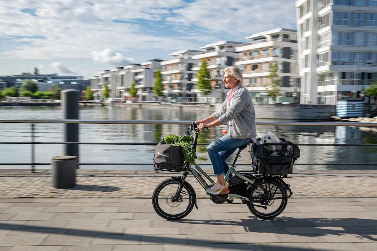 Tern Dog Roof Mini 3 Tern Dog Roof Mini